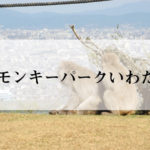 嵐山モンキーパークいわたやま